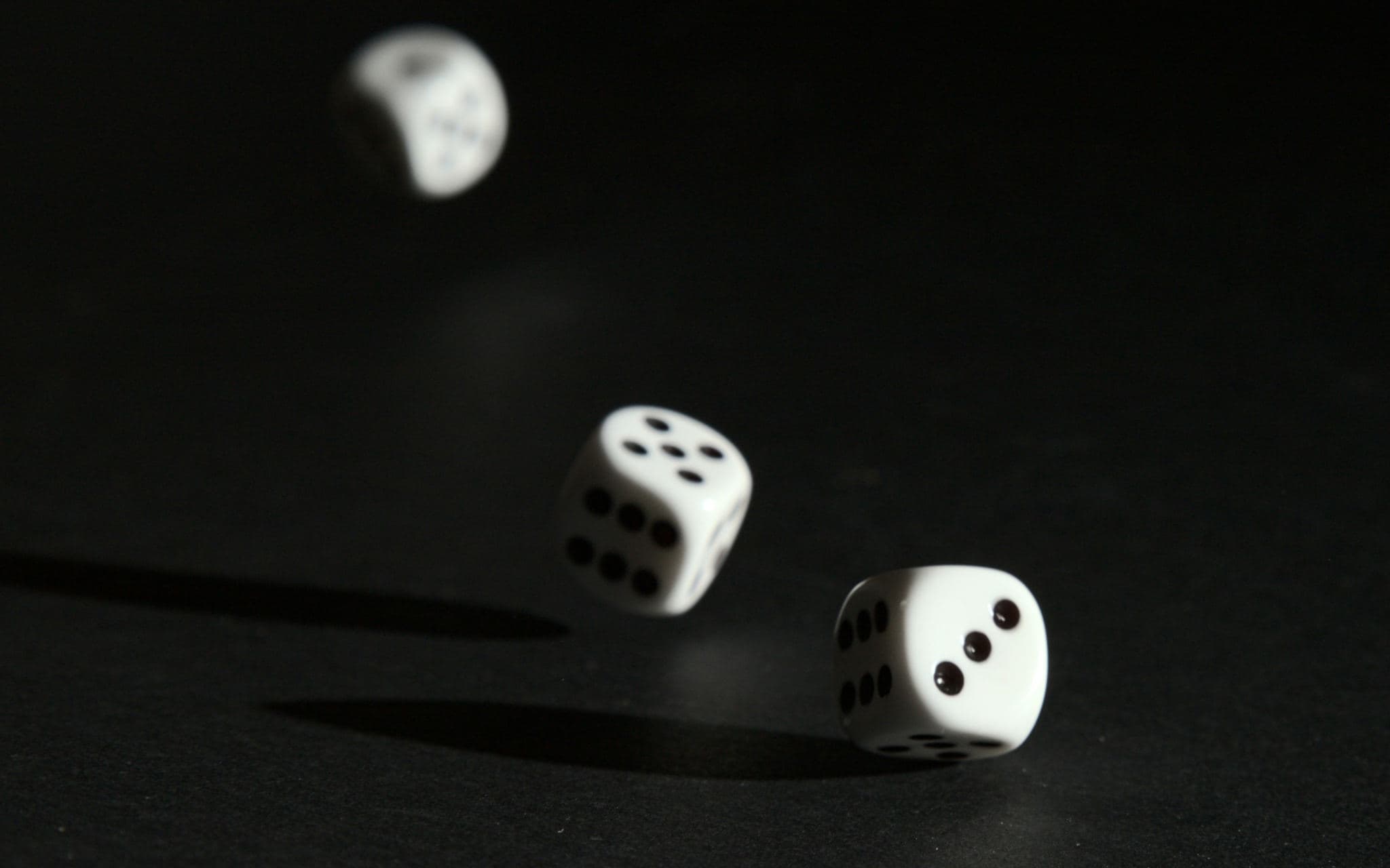 The role of luck vs discipline in startups